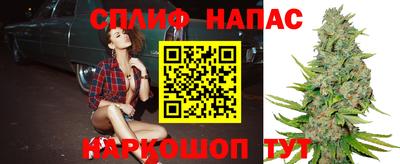 mdpv Гатчина