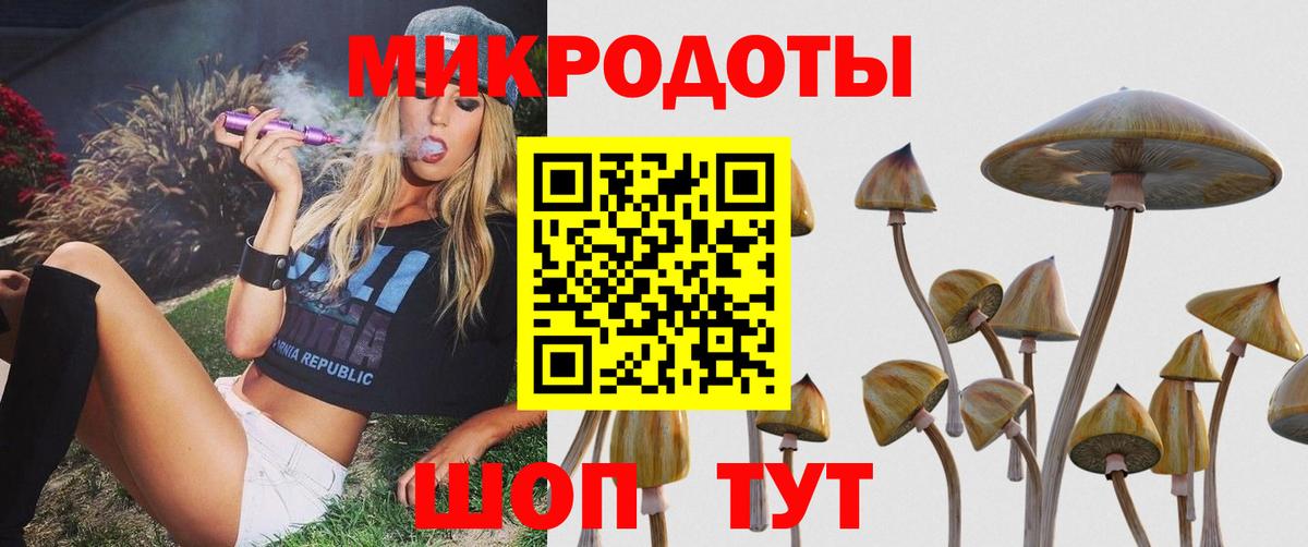 Псилоцибиновые грибы прущие грибы  Вход с VPN  Можга 